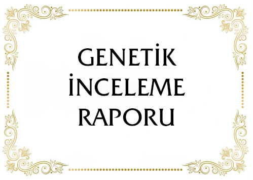 Genetik İnceleme Raporu